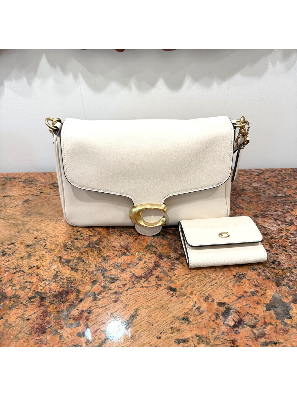 Coach Bag & Wallet